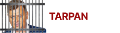 Tarpan